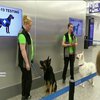 В аеропорту Гельсінкі хворих на коронавірус виявляють собаки