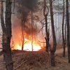 Под Днепром произошел лесной пожар