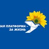 Зеленая власть и ее сателлиты из партий войны продолжают фальсифицировать выборы в Донецкой области
