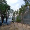 В Луганской области вспыхнул лесной пожар