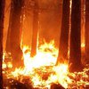 В Луганской области сгорел человек 