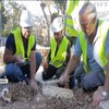 Ізраїльські археологи відкопали стародавній палац