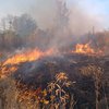 На востоке Украины продолжается тушение пожаров