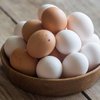 Одна из главных причин подорожания яиц - давление НАБУ на крупного производителя