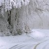 По Украине ударят 20-градусные морозы