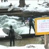 У Мюнхені серфінгісти підкорюють крижані хвилі