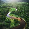 Леса Амазонки скоро исчезнут: ученые шокировали заявлением