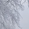 Украину засыпет полуметровым слоем снега: когда ждать непогоды