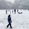 У Лондоні сталось чимало аварій через снігопад