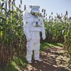 NASA заплатит каждому 30 тысяч долларов за космическую еду