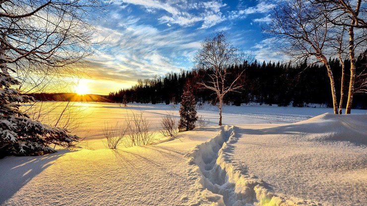 Снегопад ждет украинцев / Фото: Pixabay