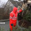 У Німеччина вже розбирають новорічні дерева