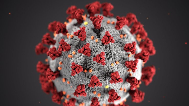 В администрации президента США считают причиной пандемии коронавируса утечку из лаборатории