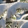 Сильные морозы и много снега: синоптики дали прогноз погоды на февраль
