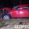 В Киеве парень за рулем Mini Cooper снес отбойник и вылетел в кювет (видео)