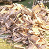 Без тепла на Прикарпатті: люди не можуть законно отримати дрова