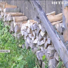 Жителі прикарпатського села змушені мерзнути через нестачу дрів