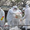 В Китае распространяется опаснейший штамм птичьего гриппа