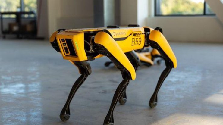 Робот Boston Dynamics/ фото: Naked Science