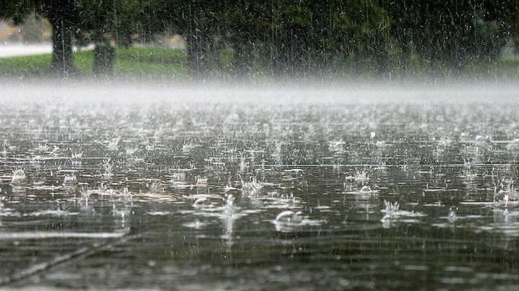 Дождь/ фото: knews.kg