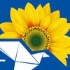 Критически низкое участие граждан и полное разочарование во власти - главный итог промежуточных выборов