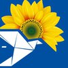 ОПЗЖ требует от Зе-власти прекратить популяризацию нацизма и гитлеризма в Украине