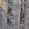 В Украину идет опасная погода со снегом 