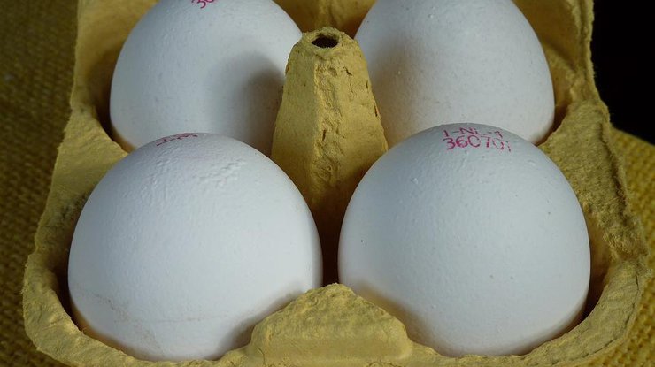 Яйца дорожают / Фото: Pixabay