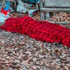 В Днепре на улице обнаружили жуткую находку (фото) 