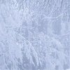 Морозы и сугробы снега: синоптики рассказали о погоде на весну 2022 в Украине