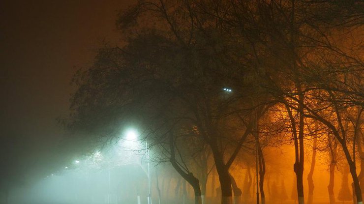 Туман "окутает" 4 региона/ фото: gazeta.uz