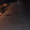 В Одесской области посреди дороги валялось тело женщины (фото)