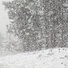 Снежный "армагеддон": в Украине сегодня резко ухудшится погода