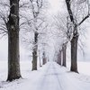 Синоптики дали прогноз погоды на декабрь
