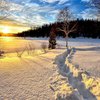 В первый день зимы Украину засыплет снегом