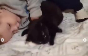 мальчик курице видео сунул. foto stop kadr iz video rect ee90a333143cd096fe0402bf09ef0427. мальчик курице видео сунул фото. мальчик курице видео сунул-foto stop kadr iz video rect ee90a333143cd096fe0402bf09ef0427. картинка мальчик курице видео сунул. картинка foto stop kadr iz video rect ee90a333143cd096fe0402bf09ef0427. Местный житель провинции Пенджаб, что в Пакистане, обратился в полицию с жалобой на соседского мальчишку. Об этом пишет The Sun.