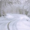 Прогноз на 1 декабря: в первый день зимы в Киеве пойдет снег 