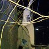 От авто ничего не осталось: под Днепров 18-летний водитель на полной скорости влетел в дерево