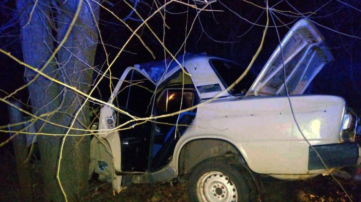 Фото: автомобиль влетел в дерево