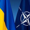 Вступление Украины в НАТО: в России заявили о рисках масштабного конфликта в Европе