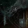 Под Ривне бревно из лесовоза влетело в маршрутку с людьми (фото)