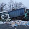 Под Николаевом произошло страшное ДТП с грузовиками