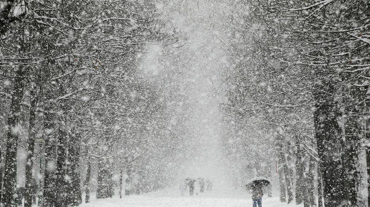 В западных регионах страны будут наблюдаться снегопады/ фото: РБК