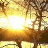 День зимнего солнцестояния 2021: когда наступит и что нельзя делать