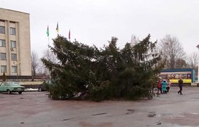 В Житомире главная елка оставила без интернета полгорода