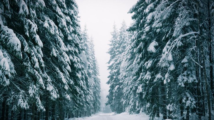 В Украине будет пасмурная погода со снегом/ фото: GoodFon