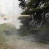 В Кривом Роге бабушка сожгла елку возле горсовета (видео)
