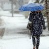 Мокрый снег с дождем и потепление: погода на 25 декабря