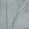 В Чернигове во время снегопада гремела гроза: редкое природное явление 