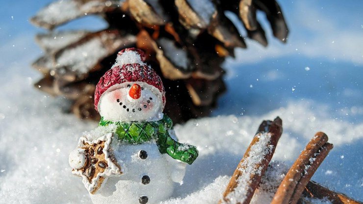 Снегопад ждет украинцев / Фото: Pixabay